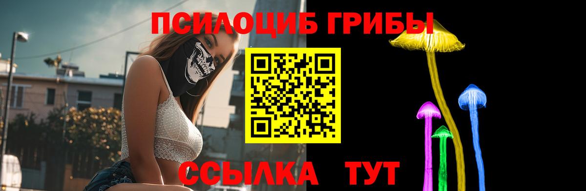 Топки  Галлюциногенные грибы Psilocybine cubensis  Вход с VPN 